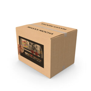 100 Sachets Maxxx Mocha (Display refill)
